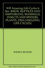 WR Amazing Life Cycles 6 Set BIRDS REPTILES AND AMPHIBIANS MAMMALS INSECTS AND SPIDERS PLANTS FISH