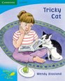 Pobblebonk Reading 32 Tricky Cat