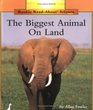 The Biggest Animal on Land