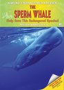 The Sperm Whale Help Save This Endangered Species
