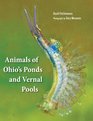 Animals of Ohio's Ponds & Vernal Pools