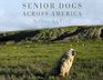 Senior Dogs Across America Portraits of Man's Best Old Friend