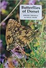 Butterflies of Dorset