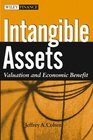 Intangible Assets Valuation and Economic Benefit