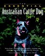 The Essential Australian Cattle Dog