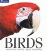 Birds Kinds of Birds  Habitats  Biology and Behavior
