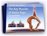 Scientific Keys Volume I The Key Muscles of Hatha Yoga