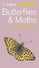 Butterflies And Moths