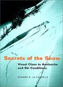 Secrets of the Snow Visual Clues to Avalanche and Ski Conditions