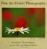Fine Art Flower Photography Creative Techniques And The Art Of Observation