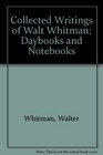 Daybooks and Notebooks