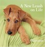 A New Leash on Life