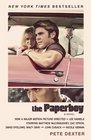 The Paperboy  A Novel