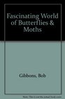 Fascinating World of Butterflies  Moths