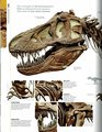 Dinosaur  The Definitive Visual Guide to Prehistoric Animals