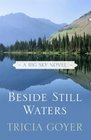 Beside Still Waters (Thorndike Press Large Print Christian Fiction)
