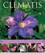 Clematis An Illustrated Guide to Varieties Cultivation and Care with StepByStep Instructions and Over 150 Beautiful Photographs
