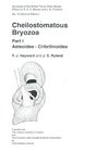 Cheilostomatous bryozoa