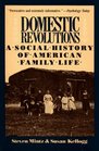 Domestic Revolutions : A Social History Of American Family Life