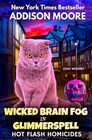 Wicked Brain Fog in Glimmerspell A Paranormal Women's Fiction Novel