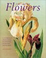 The Art of Flowers A Celebration of Botanical Illustration Its Masters and Methods