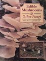 Edible Mushrooms and Fungi