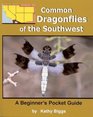 Common Dragonflies of the Southwest