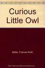 The curious little owl