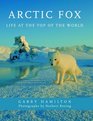 Arctic Fox Life at the Top of the World