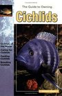 The Guide to Owning Cichlids