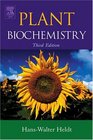 Plant Biochemistry Third Edition