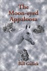 The MoonEyed Appaloosa