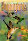 Mystery and Miracle of Hummingbirds