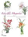 Lilies  Magnolias  Botanical Watercolors of Deborah Passmore gillingham