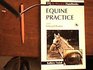 Equine Practice