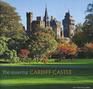 The Essential Cardiff Castle
