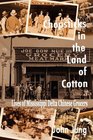 Chopsticks in The Land of Cotton Lives of Mississippi Delta Chinese Grocers