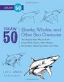 Draw 50 Sharks Whales and Other Sea Creatures The StepbyStep Way to Draw Great White Sharks Killer Whales Barracudas Seahorses Seals and More