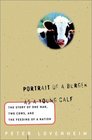 Portrait of a Burger as a Young Calf  The Story of One Man Two Cows and the Feeding of a Nation
