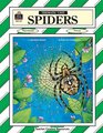 Spiders Thematic Unit