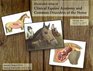 The Illustrated Atlas of Clinical Equine Anatomy and Common Disorders of the Horse