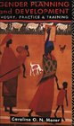 Gender Planning and Development: Theory, Practice and Training
