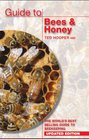 Guide to Bees  Honey