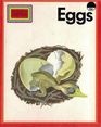 Eggs (Wonder Starters)