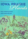 An Illustrated Guide to Iowa Prairie Plants