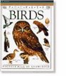 Birds (Pocket Guides)