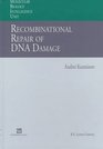 Recombinational Repair of DNA Damage