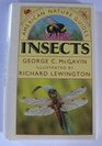 Insects American Nature Guides