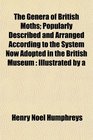 The Genera of British Moths Popularly Described and Arranged According to the System Now Adopted in the British Museum Illustrated by a