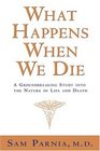 What Happens When We Die A Groundbreaking Study into the Nature of Life and Death
